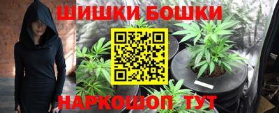 соль ск Новозыбков