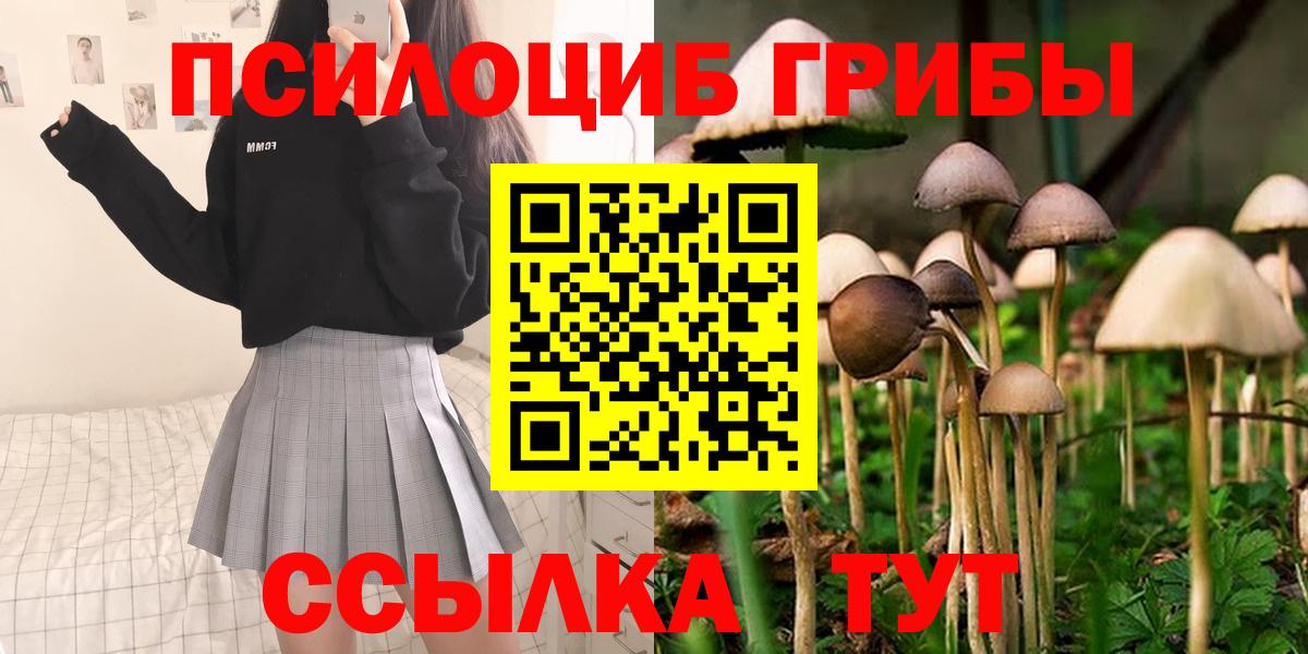 Омск  Псилоцибиновые грибы MAGIC MUSHROOMS  Вход с VPN  где найти наркотики  Псилоцибиновые грибы Magic Shrooms 